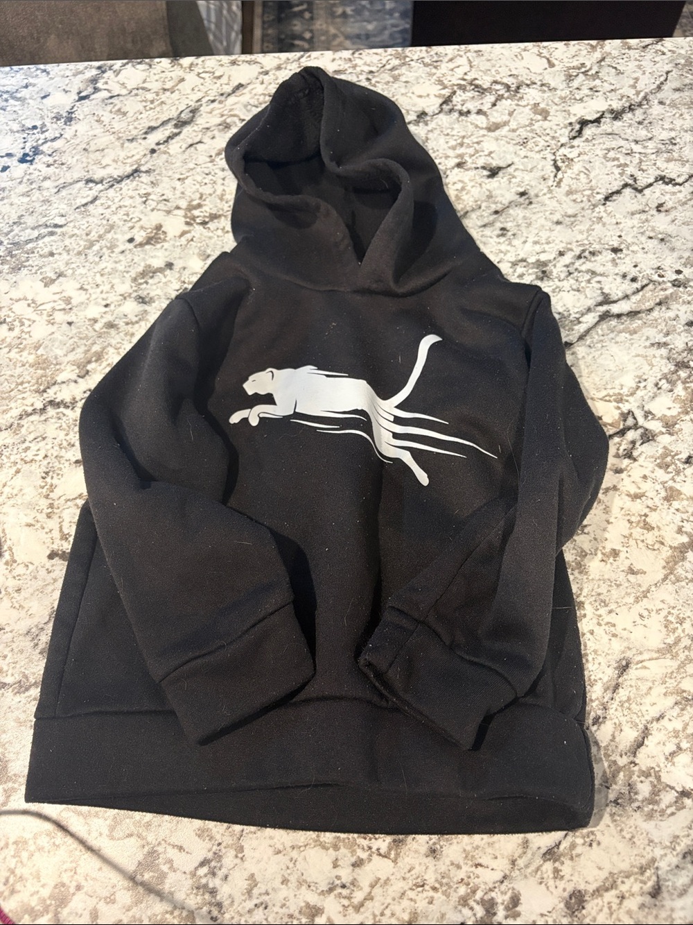 Black Hoodie with Leaping Cat Graphic - Men's Sweater